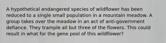 A hypothetical endangered species of wildflower has been reduced to a single small population in a mountain meadow. A group takes over the meadow in an act of anti-government defiance. They trample all but three of the flowers. This could result in what for the gene pool of this wildflower?