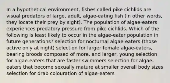 In a hypothetical environment, fishes called pike cichlids are visual predators of large, adult, algae-eating fish (in other words, they locate their prey by sight). The population of algae-eaters experiences predatory pressure from pike cichlids. Which of the following is least likely to occur in the algae-eater population in future generations? selection for nocturnal algae-eaters (those active only at night) selection for larger female algae-eaters, bearing broods composed of more, and larger, young selection for algae-eaters that are faster swimmers selection for algae-eaters that become sexually mature at smaller overall body sizes selection for drab colouration of algae-eaters