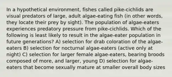 In a hypothetical environment, fishes called pike-cichlids are visual predators of large, adult algae-eating fish (in other words, they locate their prey by sight). The population of algae-eaters experiences predatory pressure from pike-cichlids. Which of the following is least likely to result in the algae-eater population in future generations? A) selection for drab coloration of the algae-eaters B) selection for nocturnal algae-eaters (active only at night) C) selection for larger female algae-eaters, bearing broods composed of more, and larger, young D) selection for algae-eaters that become sexually mature at smaller overall body sizes