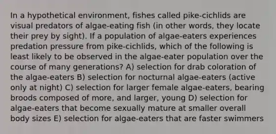 In a hypothetical environment, fishes called pike-cichlids are visual predators of algae-eating fish (in other words, they locate their prey by sight). If a population of algae-eaters experiences predation pressure from pike-cichlids, which of the following is least likely to be observed in the algae-eater population over the course of many generations? A) selection for drab coloration of the algae-eaters B) selection for nocturnal algae-eaters (active only at night) C) selection for larger female algae-eaters, bearing broods composed of more, and larger, young D) selection for algae-eaters that become sexually mature at smaller overall body sizes E) selection for algae-eaters that are faster swimmers