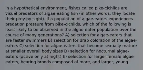 In a hypothetical environment, fishes called pike-cichlids are visual predators of algae-eating fish (in other words, they locate their prey by sight). If a population of algae-eaters experiences predation pressure from pike-cichlids, which of the following is least likely to be observed in the algae-eater population over the course of many generations? A) selection for algae-eaters that are faster swimmers B) selection for drab coloration of the algae-eaters C) selection for algae-eaters that become sexually mature at smaller overall body sizes D) selection for nocturnal algae-eaters (active only at night) E) selection for larger female algae-eaters, bearing broods composed of more, and larger, young