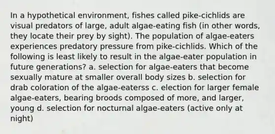 In a hypothetical environment, fishes called pike-cichlids are visual predators of large, adult algae-eating fish (in other words, they locate their prey by sight). The population of algae-eaters experiences predatory pressure from pike-cichlids. Which of the following is least likely to result in the algae-eater population in future generations? a. selection for algae-eaters that become sexually mature at smaller overall body sizes b. selection for drab coloration of the algae-eaterss c. election for larger female algae-eaters, bearing broods composed of more, and larger, young d. selection for nocturnal algae-eaters (active only at night)