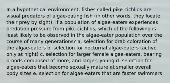 In a hypothetical environment, fishes called pike-cichlids are visual predators of algae-eating fish (in other words, they locate their prey by sight). If a population of algae-eaters experiences predation pressure from pike-cichlids, which of the following is least likely to be observed in the algae-eater population over the course of many generations? a. selection for drab coloration of the algae-eaters b. selection for nocturnal algae-eaters (active only at night) c. selection for larger female algae-eaters, bearing broods composed of more, and larger, young d. selection for algae-eaters that become sexually mature at smaller overall body sizes e. selection for algae-eaters that are faster swimmers