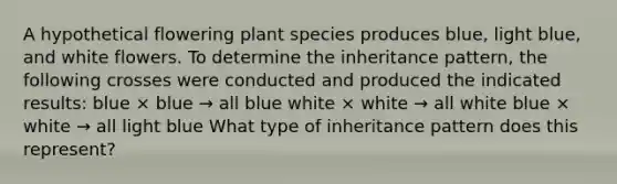 A hypothetical flowering plant species produces blue, light blue, and white flowers. To determine the inheritance pattern, the following crosses were conducted and produced the indicated results: blue × blue → all blue white × white → all white blue × white → all light blue What type of inheritance pattern does this represent?