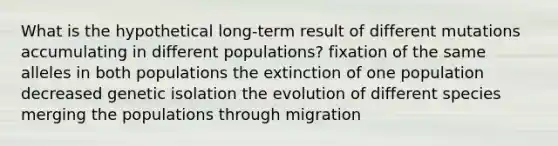 What is the hypothetical long-term result of different mutations accumulating in different populations? fixation of the same alleles in both populations the extinction of one population decreased genetic isolation the evolution of different species merging the populations through migration