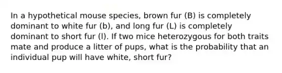 In a hypothetical mouse species, brown fur (B) is completely dominant to white fur (b), and long fur (L) is completely dominant to short fur (l). If two mice heterozygous for both traits mate and produce a litter of pups, what is the probability that an individual pup will have white, short fur?