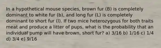 In a hypothetical mouse species, brown fur (B) is completely dominant to white fur (b), and long fur (L) is completely dominant to short fur (l). If two mice heterozygous for both traits meat and produce a litter of pups, what is the probability that an individual pump will have brown, short fur? a) 3/16 b) 1/16 c) 1/4 d) 3/4 e) 9/16