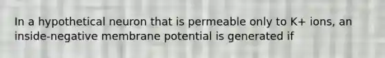 In a hypothetical neuron that is permeable only to K+ ions, an inside-negative membrane potential is generated if