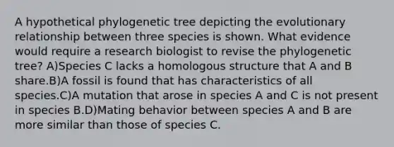 A hypothetical phylogenetic tree depicting the evolutionary relationship between three species is shown. What evidence would require a research biologist to revise the phylogenetic tree? A)Species C lacks a homologous structure that A and B share.B)A fossil is found that has characteristics of all species.C)A mutation that arose in species A and C is not present in species B.D)Mating behavior between species A and B are more similar than those of species C.