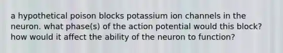 a hypothetical poison blocks potassium ion channels in the neuron. what phase(s) of the action potential would this block? how would it affect the ability of the neuron to function?