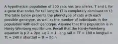 A hypothetical population of 500 cats has two alleles, T and t, for a gene that codes for tail length. (T is completely dominant to t.) The table below presents the phenotype of cats with each possible genotype, as well as the number of individuals in the population with each genotype. Assume that this population is in Hardy-Weinberg equilibrium. Recall that the Hardy-Weinberg equation is p 2 + 2pq +q 2 = 1. long tail = TT = 180 n longtail = Tt = 240 n shorttail = tt = 80 n