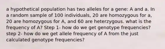 a hypothetical population has two alleles for a gene: A and a. In a random sample of 100 individuals, 20 are homozygous for a, 20 are homozygous for A, and 60 are heterzygous. what is the frequency of A? Step 1- how do we get genotype frequencies? step 2- how do we get allele frequency of A from the just calculated genotype frequencies?