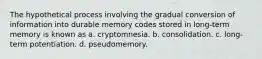 The hypothetical process involving the gradual conversion of information into durable memory codes stored in long-term memory is known as a. cryptomnesia. b. consolidation. c. long-term potentiation. d. pseudomemory.