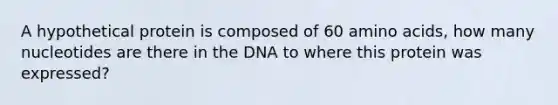 A hypothetical protein is composed of 60 amino acids, how many nucleotides are there in the DNA to where this protein was expressed?