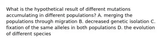 What is the hypothetical result of different mutations accumulating in different populations? A. merging the populations through migration B. decreased genetic isolation C. fixation of the same alleles in both populations D. the evolution of different species