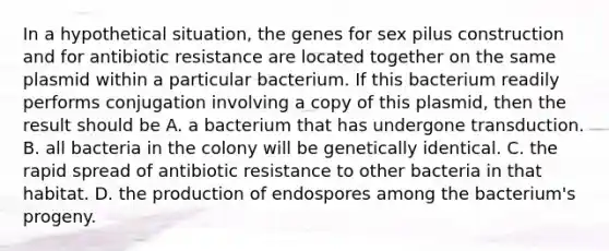 In a hypothetical situation, the genes for sex pilus construction and for antibiotic resistance are located together on the same plasmid within a particular bacterium. If this bacterium readily performs conjugation involving a copy of this plasmid, then the result should be A. a bacterium that has undergone transduction. B. all bacteria in the colony will be genetically identical. C. the rapid spread of antibiotic resistance to other bacteria in that habitat. D. the production of endospores among the bacterium's progeny.