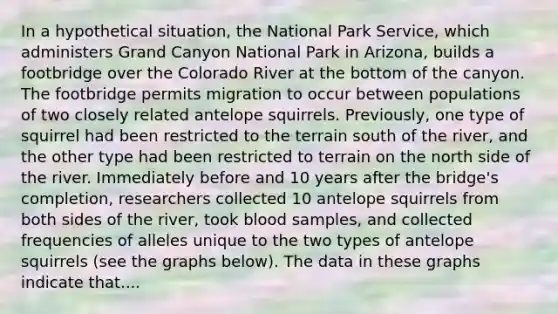 In a hypothetical situation, the National Park Service, which administers Grand Canyon National Park in Arizona, builds a footbridge over the Colorado River at the bottom of the canyon. The footbridge permits migration to occur between populations of two closely related antelope squirrels. Previously, one type of squirrel had been restricted to the terrain south of the river, and the other type had been restricted to terrain on the north side of the river. Immediately before and 10 years after the bridge's completion, researchers collected 10 antelope squirrels from both sides of the river, took blood samples, and collected frequencies of alleles unique to the two types of antelope squirrels (see the graphs below). The data in these graphs indicate that....