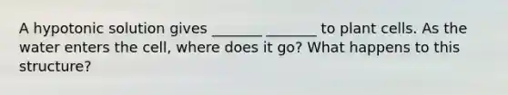A hypotonic solution gives _______ _______ to plant cells. As the water enters the cell, where does it go? What happens to this structure?