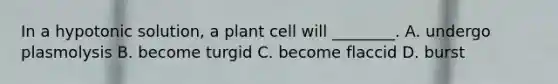 In a hypotonic solution, a plant cell will ________. A. undergo plasmolysis B. become turgid C. become flaccid D. burst