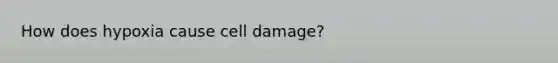 How does hypoxia cause cell damage?