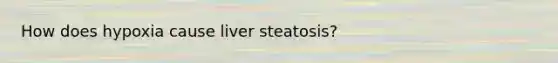 How does hypoxia cause liver steatosis?