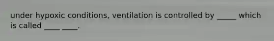 under hypoxic conditions, ventilation is controlled by _____ which is called ____ ____.