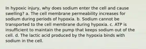 In hypoxic injury, why does sodium enter the cell and cause swelling? a. The cell membrane permeability increases for sodium during periods of hypoxia. b. Sodium cannot be transported to the cell membrane during hypoxia. c. ATP is insufficient to maintain the pump that keeps sodium out of the cell. d. The lactic acid produced by the hypoxia binds with sodium in the cell.