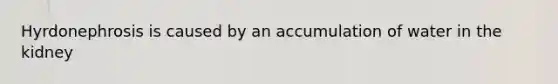 Hyrdonephrosis is caused by an accumulation of water in the kidney