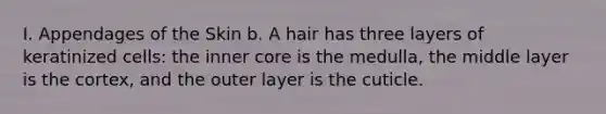 I. Appendages of the Skin b. A hair has three layers of keratinized cells: the inner core is the medulla, the middle layer is the cortex, and the outer layer is the cuticle.