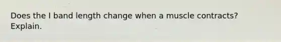 Does the I band length change when a muscle contracts? Explain.