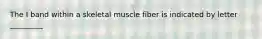 The I band within a skeletal muscle fiber is indicated by letter _________