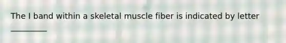 The I band within a skeletal muscle fiber is indicated by letter _________