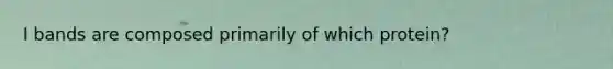 I bands are composed primarily of which protein?