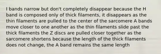 I bands narrow but don't completely disappear because the H band is composed only of thick filaments, it disappears as the thin filaments are pulled to the center of the sarcomere A bands move closer to one another as the thin filaments slide past the thick filaments the Z discs are pulled closer together as the sarcomere shortens because the length of the thick filaments does not change, the A band remains the same length