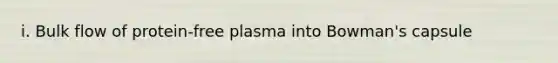 i. Bulk flow of protein-free plasma into Bowman's capsule