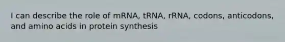 I can describe the role of mRNA, tRNA, rRNA, codons, anticodons, and amino acids in protein synthesis