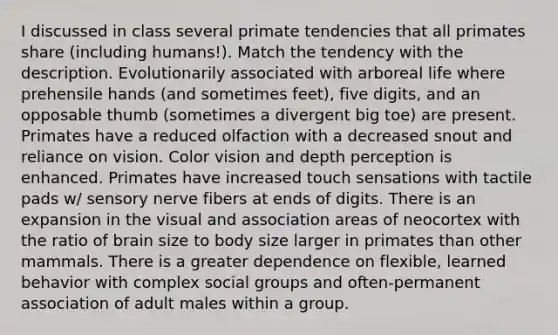 I discussed in class several primate tendencies that all primates share (including humans!). Match the tendency with the description. Evolutionarily associated with arboreal life where prehensile hands (and sometimes feet), five digits, and an opposable thumb (sometimes a divergent big toe) are present. Primates have a reduced olfaction with a decreased snout and reliance on vision. Color vision and depth perception is enhanced. Primates have increased touch sensations with tactile pads w/ sensory nerve fibers at ends of digits. There is an expansion in the visual and association areas of neocortex with the ratio of brain size to body size larger in primates than other mammals. There is a greater dependence on flexible, learned behavior with complex social groups and often-permanent association of adult males within a group.