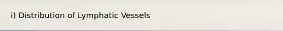 i) Distribution of Lymphatic Vessels