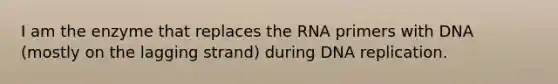 I am the enzyme that replaces the RNA primers with DNA (mostly on the lagging strand) during DNA replication.