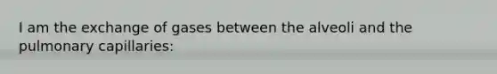 I am the exchange of gases between the alveoli and the pulmonary capillaries: