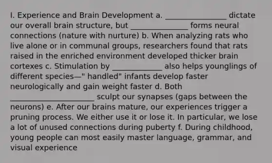 I. Experience and Brain Development a. ________________ dictate our overall brain structure, but _______________ forms neural connections (nature with nurture) b. When analyzing rats who live alone or in communal groups, researchers found that rats raised in the enriched environment developed thicker brain cortexes c. Stimulation by _____________ also helps younglings of different species—" handled" infants develop faster neurologically and gain weight faster d. Both ______________________ sculpt our synapses (gaps between the neurons) e. After our brains mature, our experiences trigger a pruning process. We either use it or lose it. In particular, we lose a lot of unused connections during puberty f. During childhood, young people can most easily master language, grammar, and visual experience