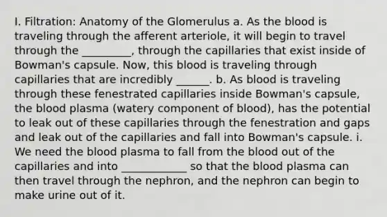 I. Filtration: Anatomy of the Glomerulus a. As the blood is traveling through the afferent arteriole, it will begin to travel through the _________, through the capillaries that exist inside of Bowman's capsule. Now, this blood is traveling through capillaries that are incredibly ______. b. As blood is traveling through these fenestrated capillaries inside Bowman's capsule, the blood plasma (watery component of blood), has the potential to leak out of these capillaries through the fenestration and gaps and leak out of the capillaries and fall into Bowman's capsule. i. We need the blood plasma to fall from the blood out of the capillaries and into ____________ so that the blood plasma can then travel through the nephron, and the nephron can begin to make urine out of it.