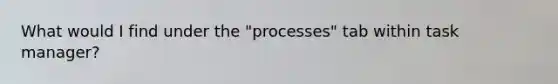 What would I find under the "processes" tab within task manager?