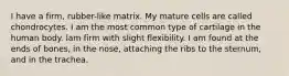 I have a firm, rubber-like matrix. My mature cells are called chondrocytes. I am the most common type of cartilage in the human body. lam firm with slight flexibility. I am found at the ends of bones, in the nose, attaching the ribs to the sternum, and in the trachea.