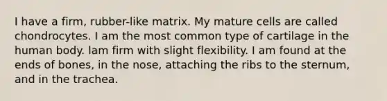 I have a firm, rubber-like matrix. My mature cells are called chondrocytes. I am the most common type of cartilage in the human body. lam firm with slight flexibility. I am found at the ends of bones, in the nose, attaching the ribs to the sternum, and in the trachea.