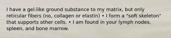 I have a gel-like ground substance to my matrix, but only reticular fibers (no, collagen or elastin) • I form a "soft skeleton" that supports other cells. • I am found in your lymph nodes, spleen, and bone marrow.