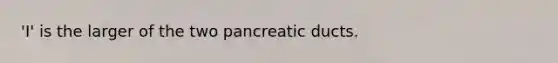 'I' is the larger of the two pancreatic ducts.