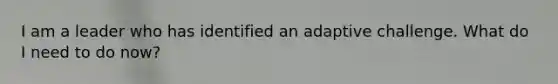 I am a leader who has identified an adaptive challenge. What do I need to do now?