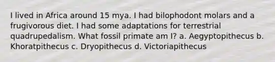 I lived in Africa around 15 mya. I had bilophodont molars and a frugivorous diet. I had some adaptations for terrestrial quadrupedalism. What fossil primate am I? a. Aegyptopithecus b. Khoratpithecus c. Dryopithecus d. Victoriapithecus