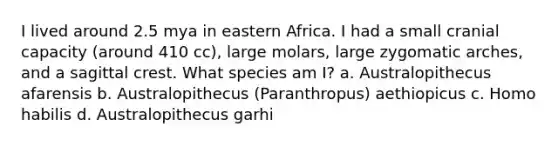 I lived around 2.5 mya in eastern Africa. I had a small cranial capacity (around 410 cc), large molars, large zygomatic arches, and a sagittal crest. What species am I? a. Australopithecus afarensis b. Australopithecus (Paranthropus) aethiopicus c. Homo habilis d. Australopithecus garhi